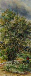 Arboreal August Afternoon